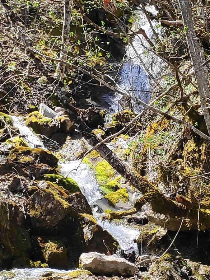 Cottage Modrich Struga Dış mekan fotoğraf