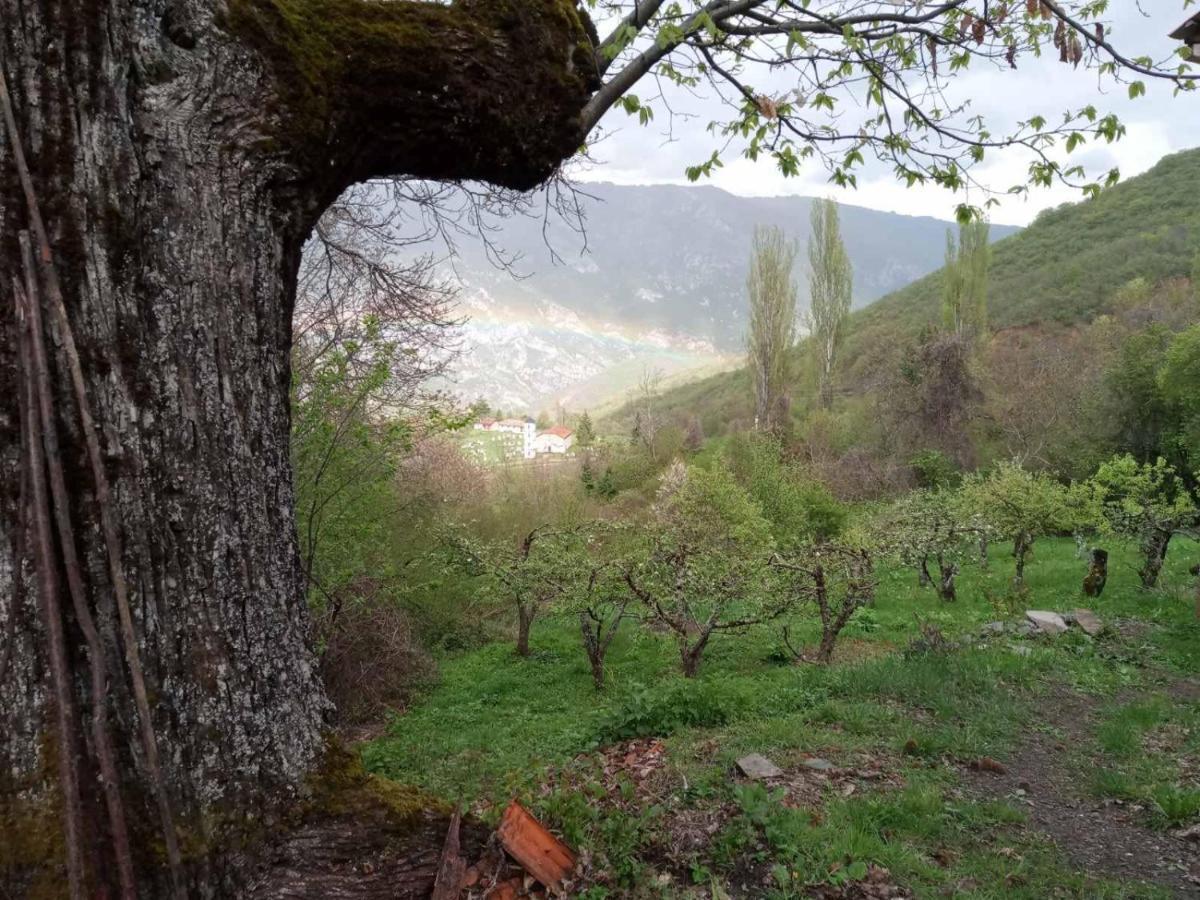 Cottage Modrich Struga Dış mekan fotoğraf