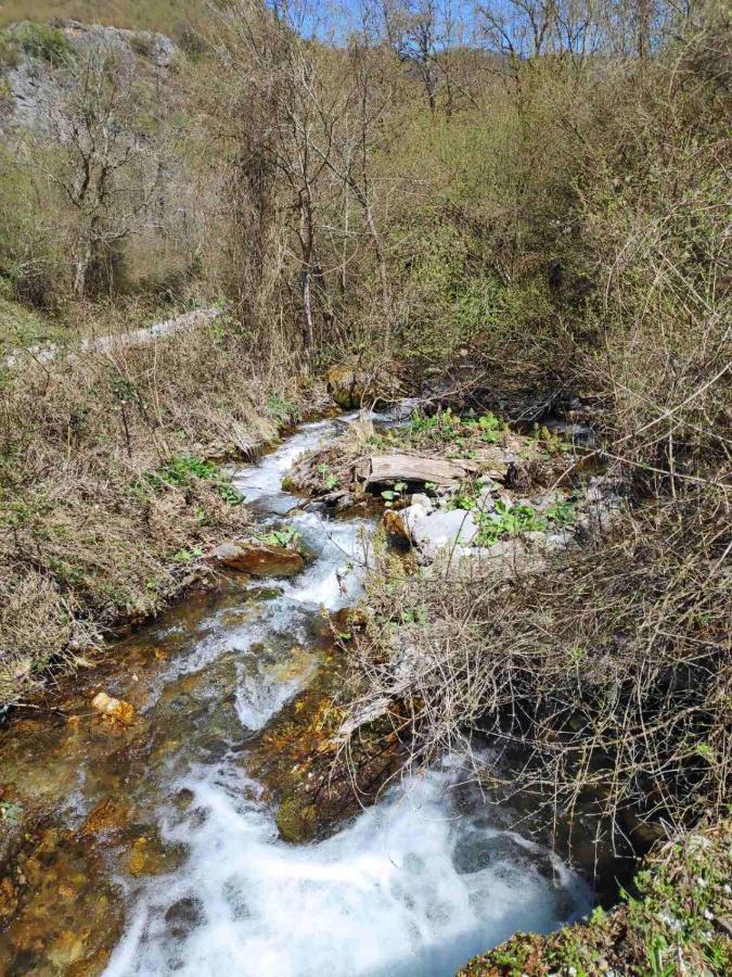 Cottage Modrich Struga Dış mekan fotoğraf