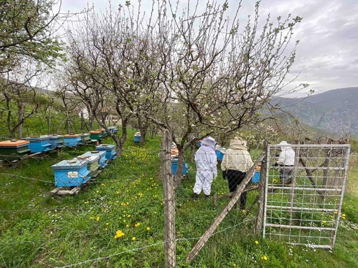 Cottage Modrich Struga Dış mekan fotoğraf