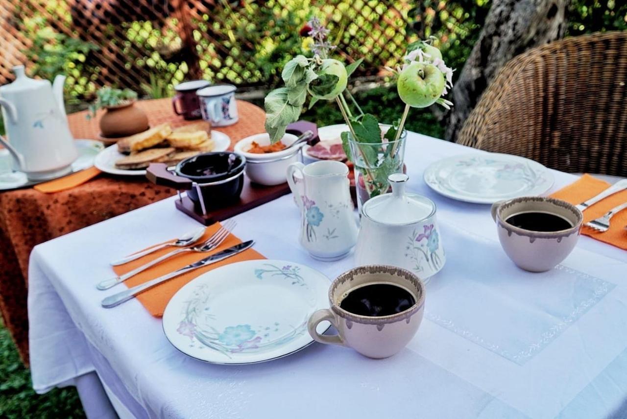 Cottage Modrich Struga Dış mekan fotoğraf