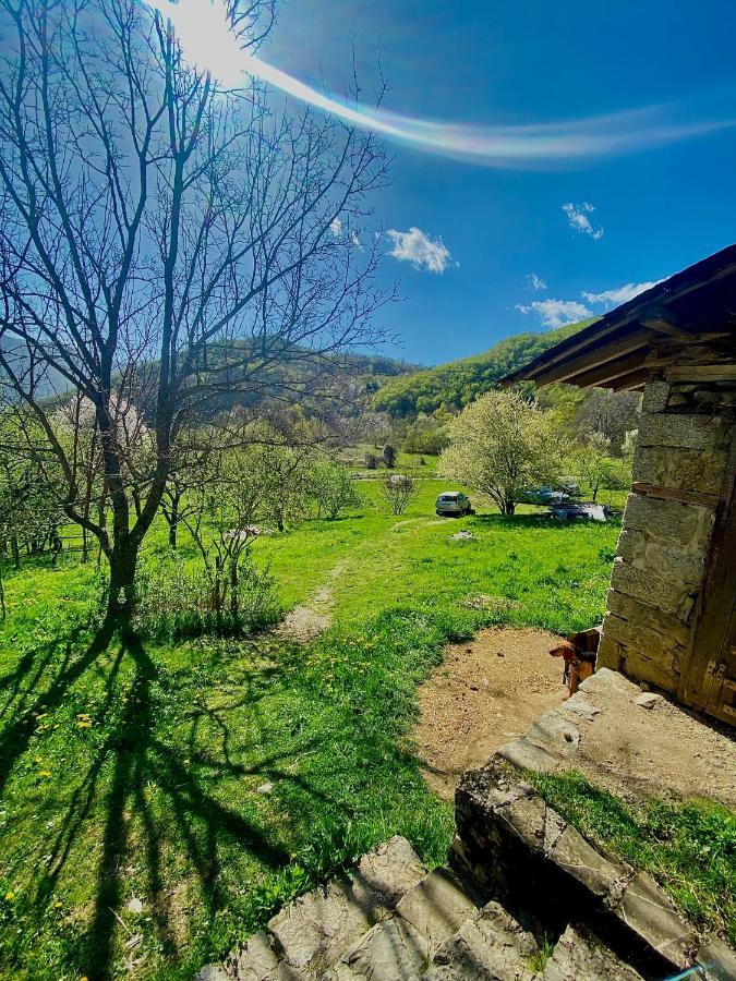 Cottage Modrich Struga Dış mekan fotoğraf
