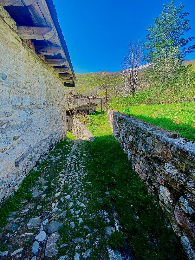Cottage Modrich Struga Dış mekan fotoğraf