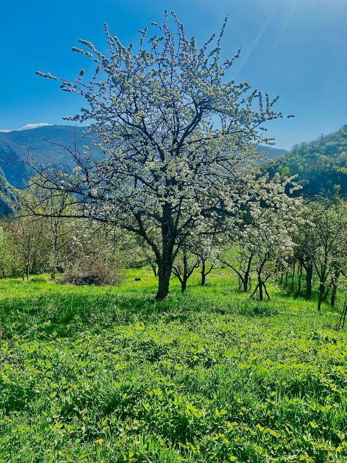 Cottage Modrich Struga Dış mekan fotoğraf