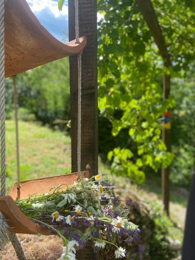 Cottage Modrich Struga Dış mekan fotoğraf